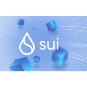 Sui账户模型的独特设计有哪些-Sui账户怎样存储可编程对象