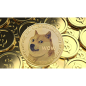 狗狗币重大升级有哪些-技术路线图全解析
