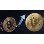 狗狗币的独特魅力与价值何在