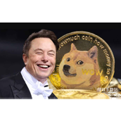 如何明智投资马斯克青睐的狗狗币-新手必知关键要点