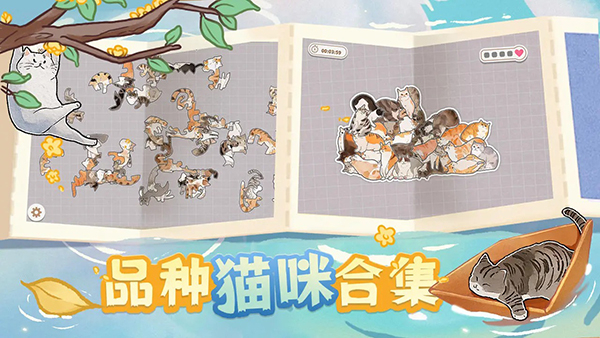 挤在一起的猫猫无限体力