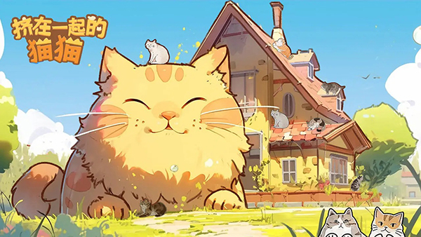 挤在一起的猫猫无限体力