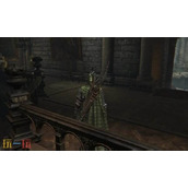 艾尔登法环黑夜君临战利品 战利品和掉落物的区别是什么
