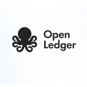 OPEN币质押机制详解-参与者如何获取网络奖励与收益分成