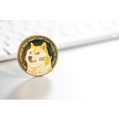 狗狗币基金会承担哪些职责-它对项目未来有哪些战略布局