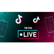 TikTok网页版登录入口-TikTok官网登录入口