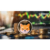 2025年底前Shiba Inu能归零吗？潜在情景分析