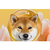 柴犬币如何购买-哪些交易所可安心买入柴犬币