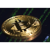 为何比特币btc价格波动剧烈-哪些因素驱动其市场价格
