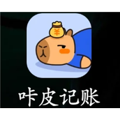 咔皮记账以后会收费吗-咔皮记账到底好用吗