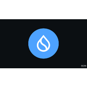 SUI代币的核心功能有哪些-SUI代币怎样支付网络交易手续费