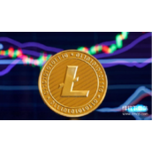 LTC的生态系统究竟如何-LTC生态支持哪些创新应用