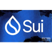 Sui社区提案流程详解-SUI持有者投票决策指南