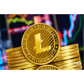 LTC币的竞争币种有哪些-LTC币的独特优势是什么