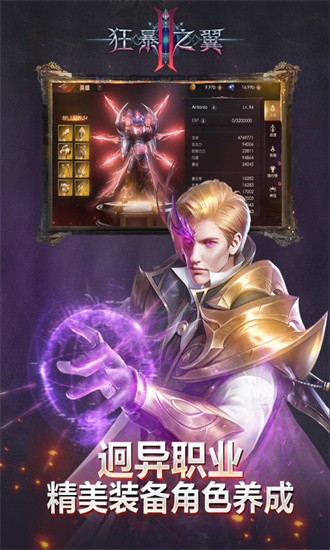 狂暴之翼2官方版