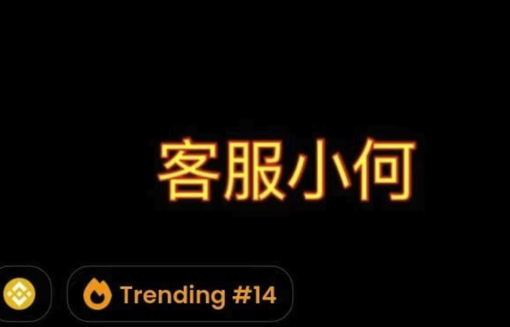 加密货币"客服小何"是谁-"客服小何"为何能短期暴涨