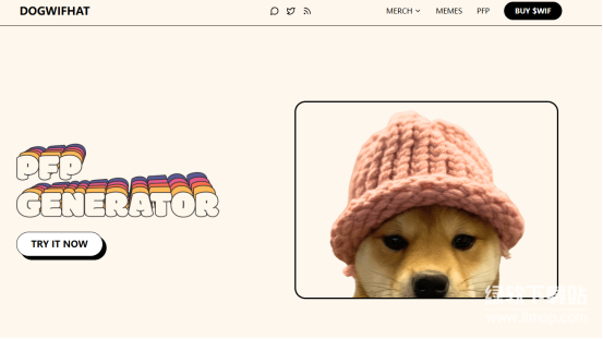Dogwifhat属于公链吗-它依托哪种区块链网络发行运行