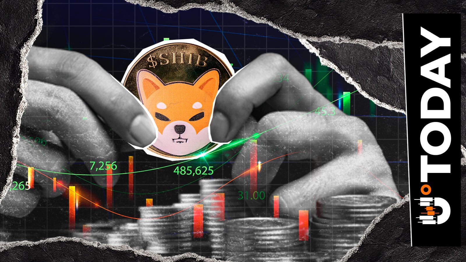 不必惊慌，携手共进，SHIB高管表示