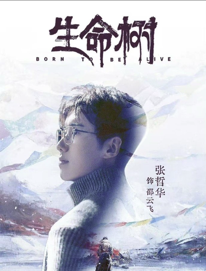 杨紫《生命树》最新一集未删减在线看-杨紫《生命树》全40集蓝光高清1080p无删减资源夸克免费观看入口