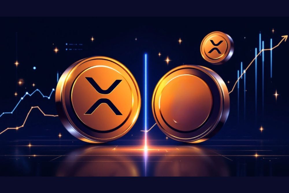 记者：任何告诉你用XRP贷款的人都是白痴