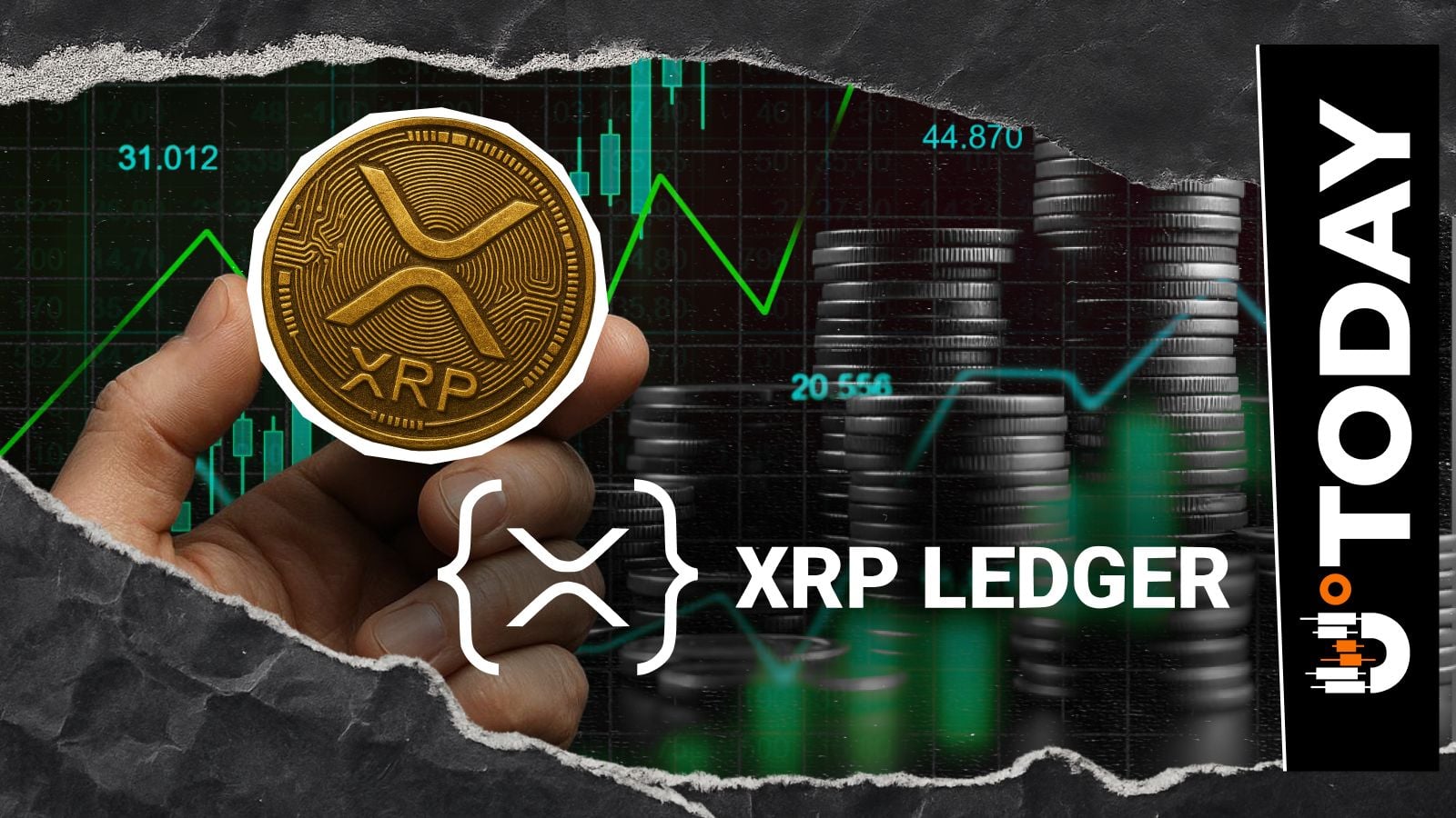 100% XRP账本激增是你需要了解的关于XRP未来的全部信息