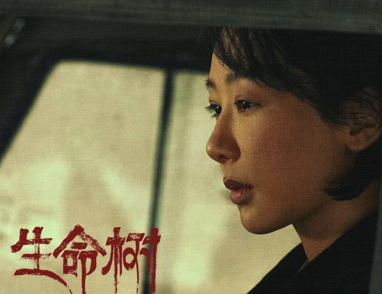 生命树电视剧最新更新:高清正版资源在线看及更新时间表