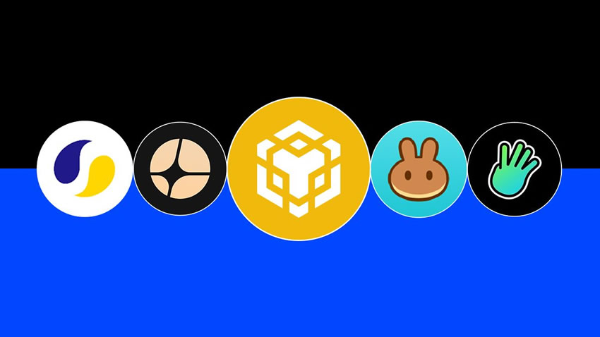 BNB生态有哪些币？热门和市值排名前列的BNB生态代币盘点