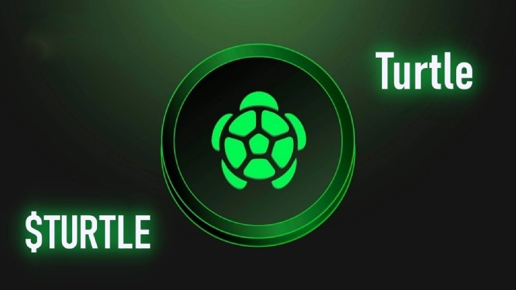 上线币安的TURTLE币是什么?未来潜力如何?TURTLE币前景分析与价格预测