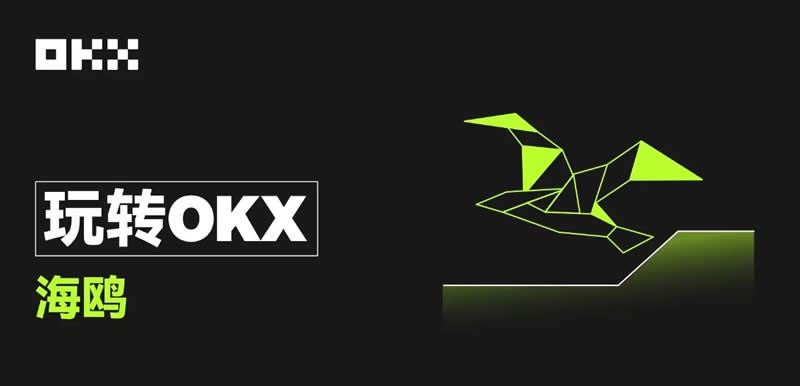 欧易OKX海鸥深度解析-OKX海鸥申购指南与实战攻略