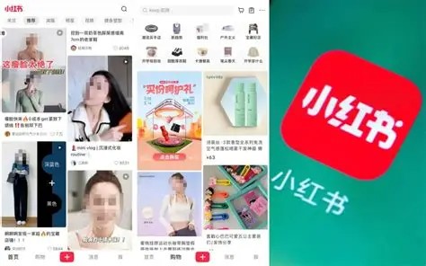小红书网页版直达入口-免APP畅览小红书网页版