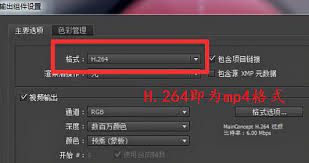 AE如何导出MP4格式视频