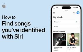 iPhone15怎么识别周围播放的歌曲