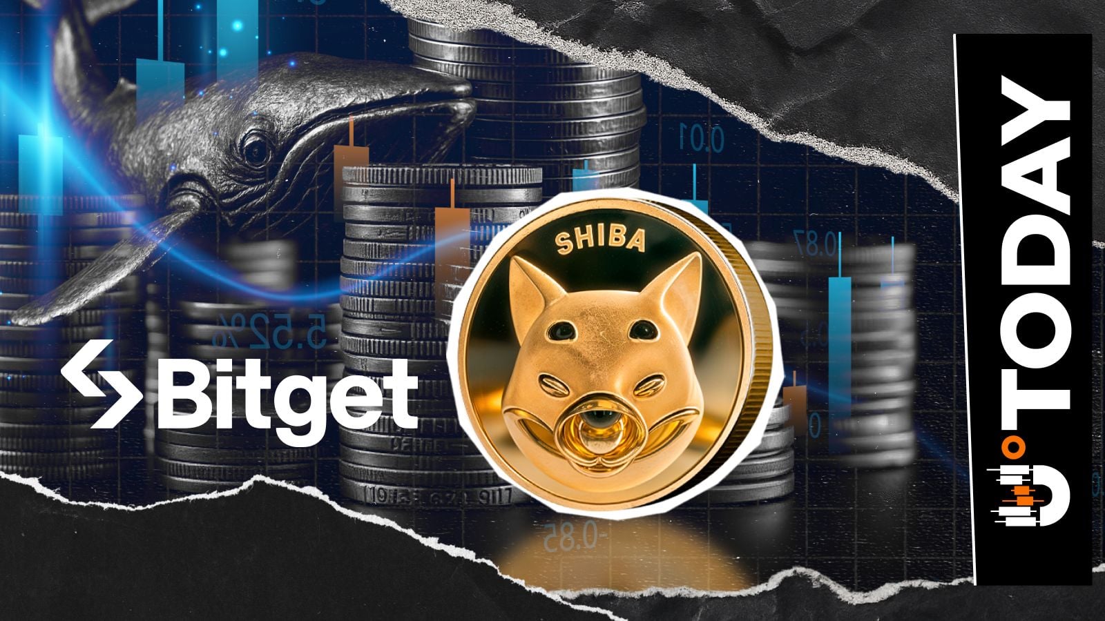 -2030亿柴犬币（SHIB）：长期持有后，巨鲸将30%的持仓转入Bitget