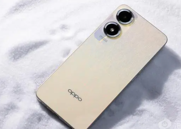 oppo a2x参数配置