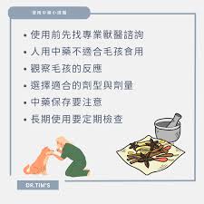 中草药宠粮：宠物进补的正确方法