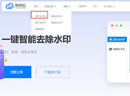 PDF在线去水印工具入口在哪里