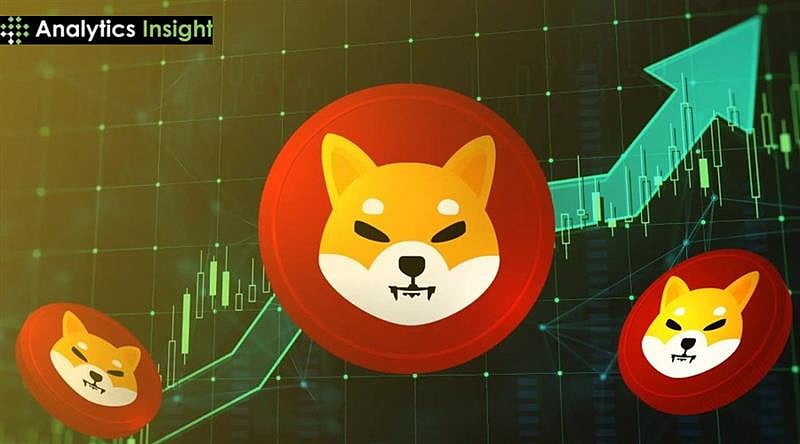 柴犬币坚守关键支撑位，复苏在望：下一步会怎样？