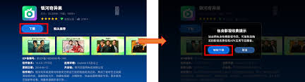 银河奇异果app如何安装到电视上