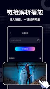 蓝莓视频app如何设置滤镜