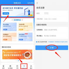 铁路12306如何使用积分查询