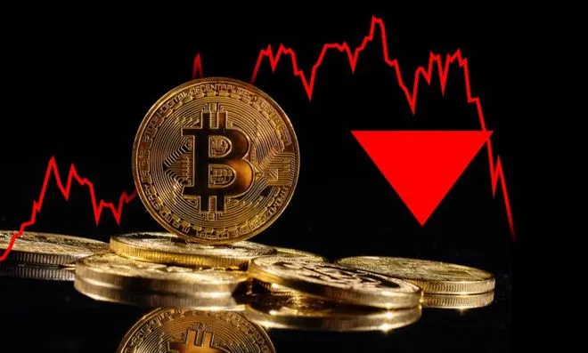 2026年潜力币种有哪些?揭秘资深玩家选择加密货币的逻辑