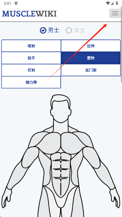 Muscle Wiki