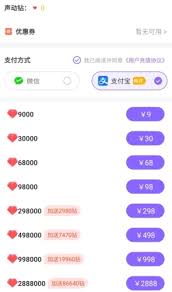 声动如何充钱