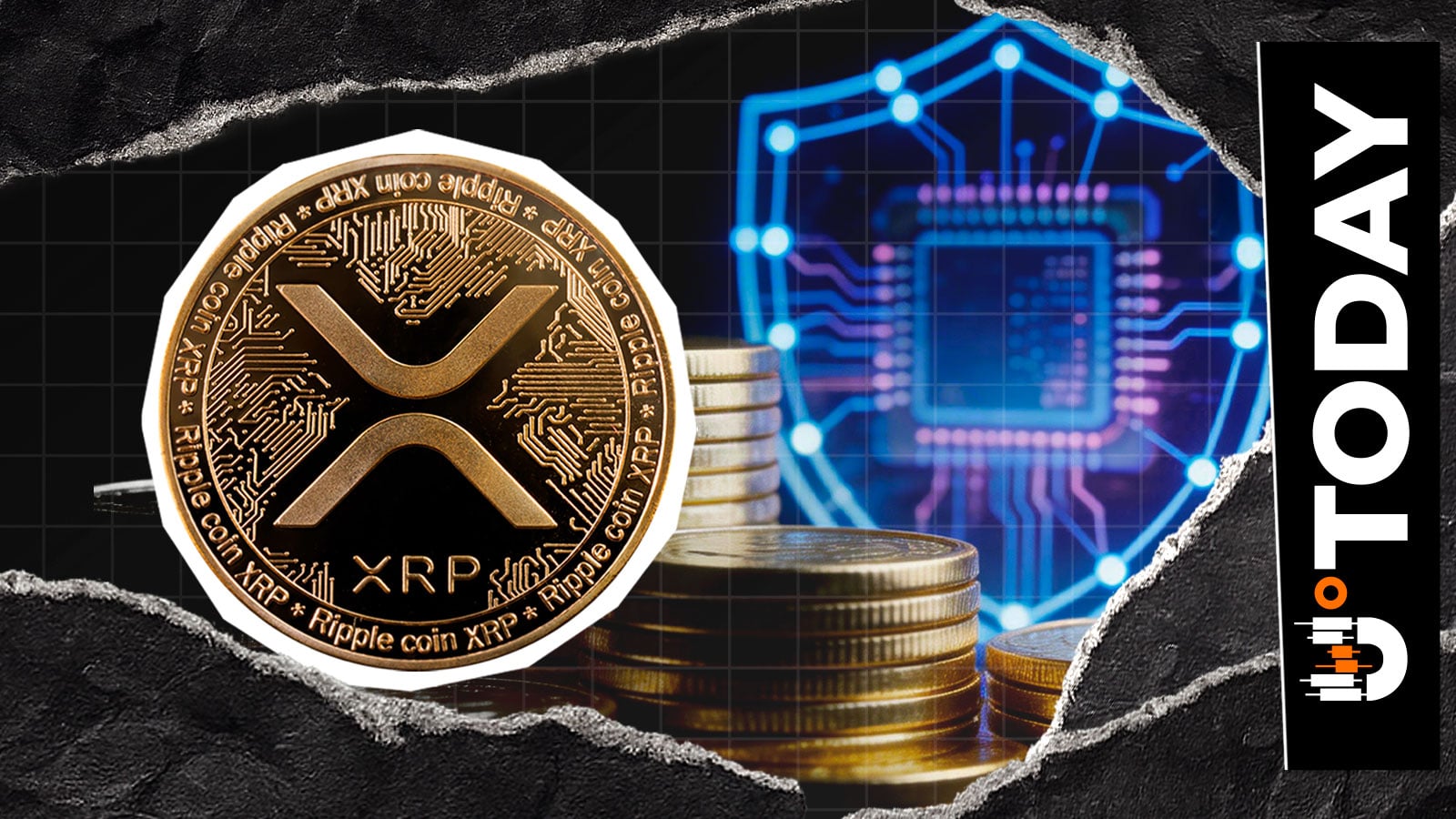 "隐私即将降临XRP"：顶级贡献者证实