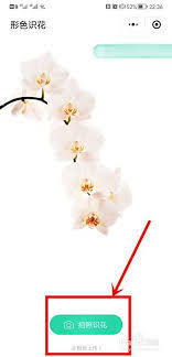 形色识花中拍的照片怎么删除