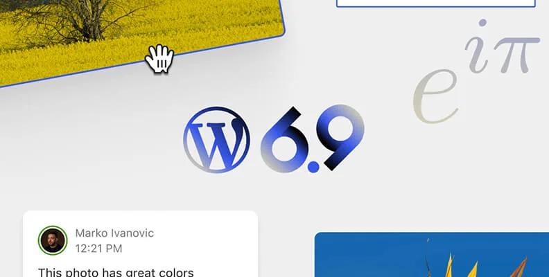 WordPress 6.9 发布 编辑器更强、速度更快、安全更稳