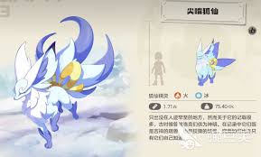 洛克王国暮小狐如何进行技能搭配