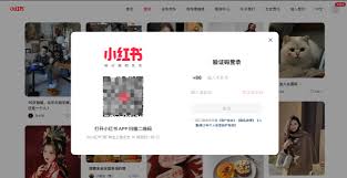 如何找到小红书官网网页版