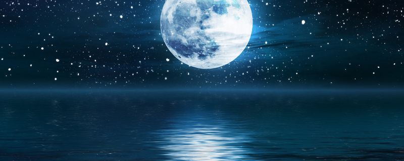 六便士和月亮是什么梗-六便士与月亮的含义解析