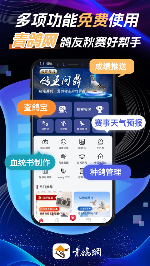 青鸽网App